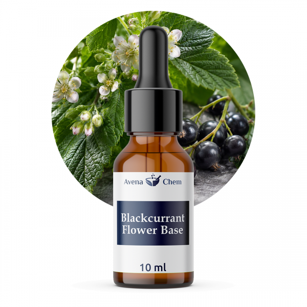 Blackcurrant-Flower-Base-Type2