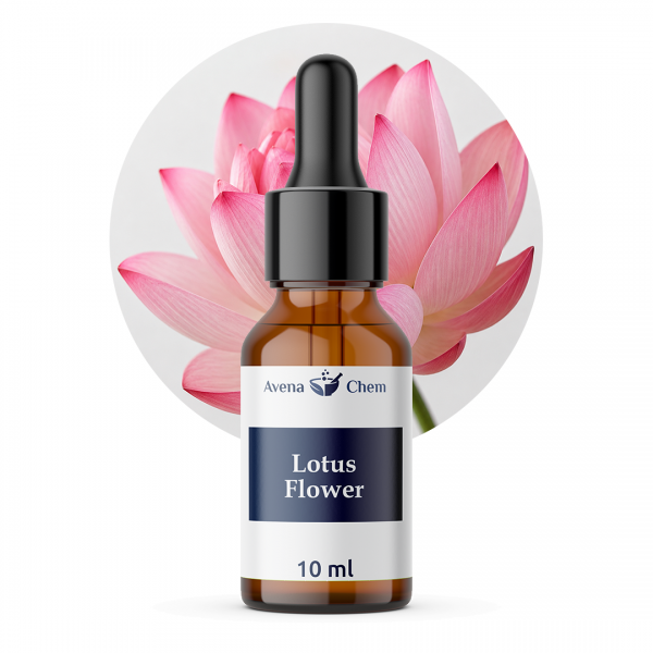 Lotus-Flower2